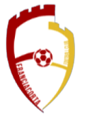 https://img.wenwoha.com/img/football/team/0f073fd2b588c115aff2d78bebb347fb.png